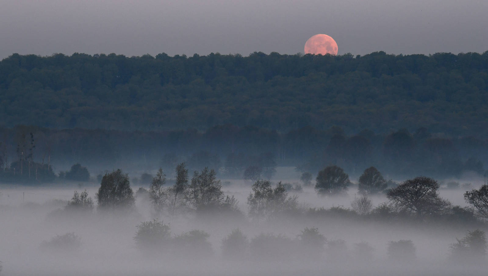 Gite de groupe avec piscine dans les Ardennes, La Charmille et Le Cottage Abel à Rubigny