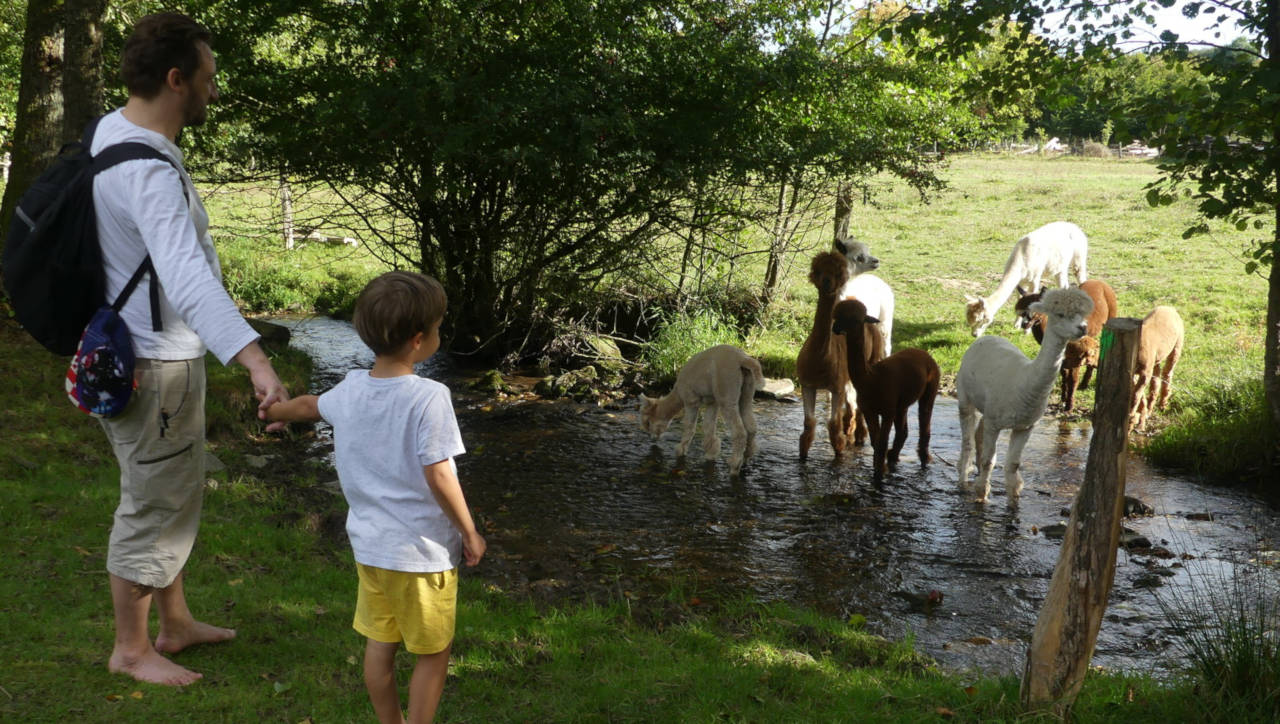 Séjour entre amis dans les Ardennes