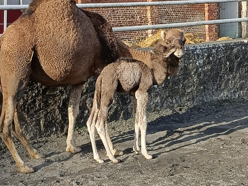 le domaine du Fay à Thenailles
