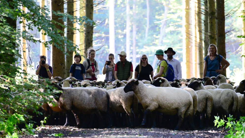 Randonner dans les Ardennes