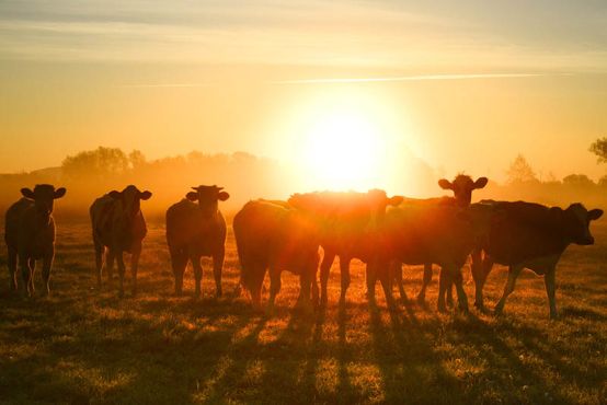 Tourisme, visites et activités dans les Ardennes