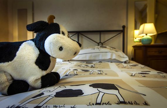 Gite de groupe avec cheminée dans les Ardennes, La Charmille à Rubigny