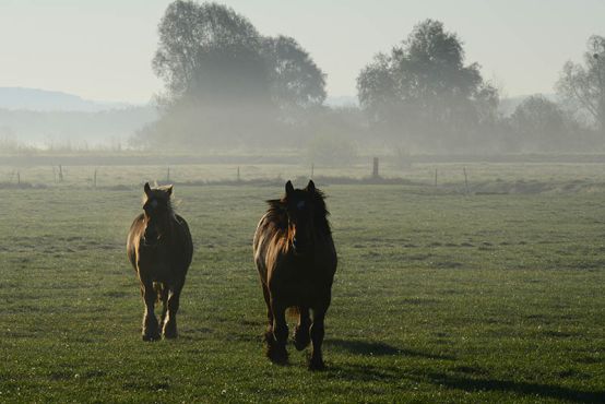 Tourisme, visites et activités dans les Ardennes