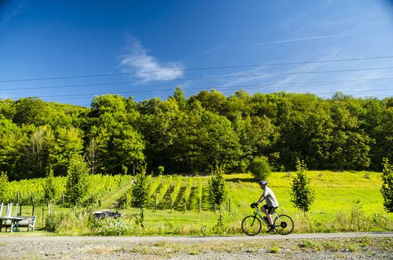 Tourisme, visites et activités dans les Ardennes