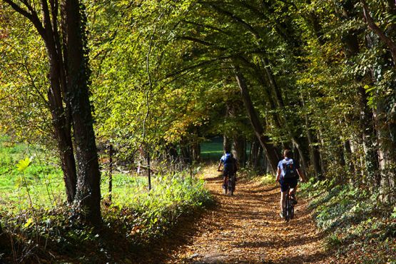 Tourisme, visites et activités dans les Ardennes